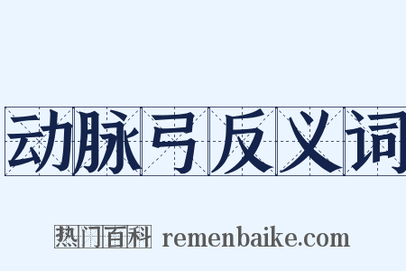 动脉弓反义词是什么意思的图片